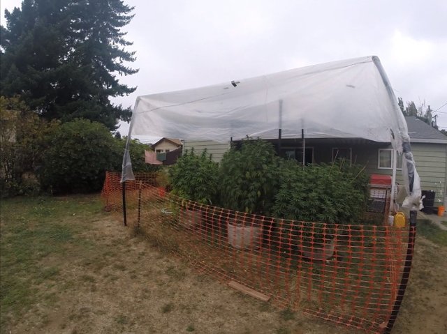 snap - 2019-09-16T101044.372.jpg