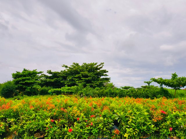 IMG_20250710_113207.jpg