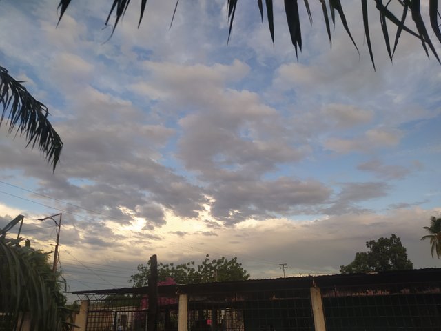 IMG_20250420_182552.jpg
