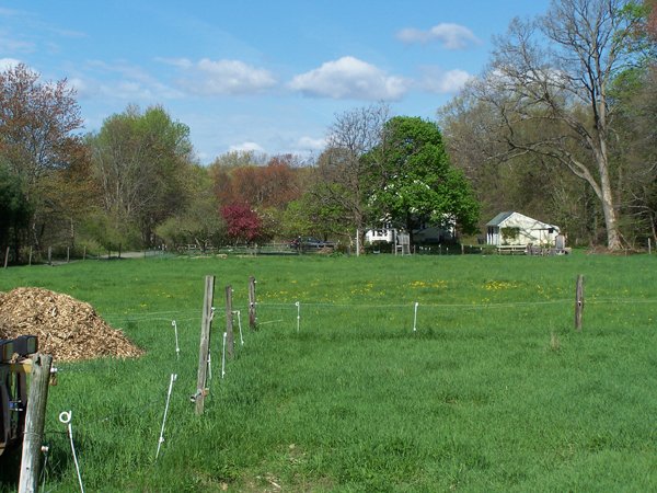 View from barn crop May 2019.jpg