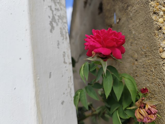 IMG_20250520_151035.jpg