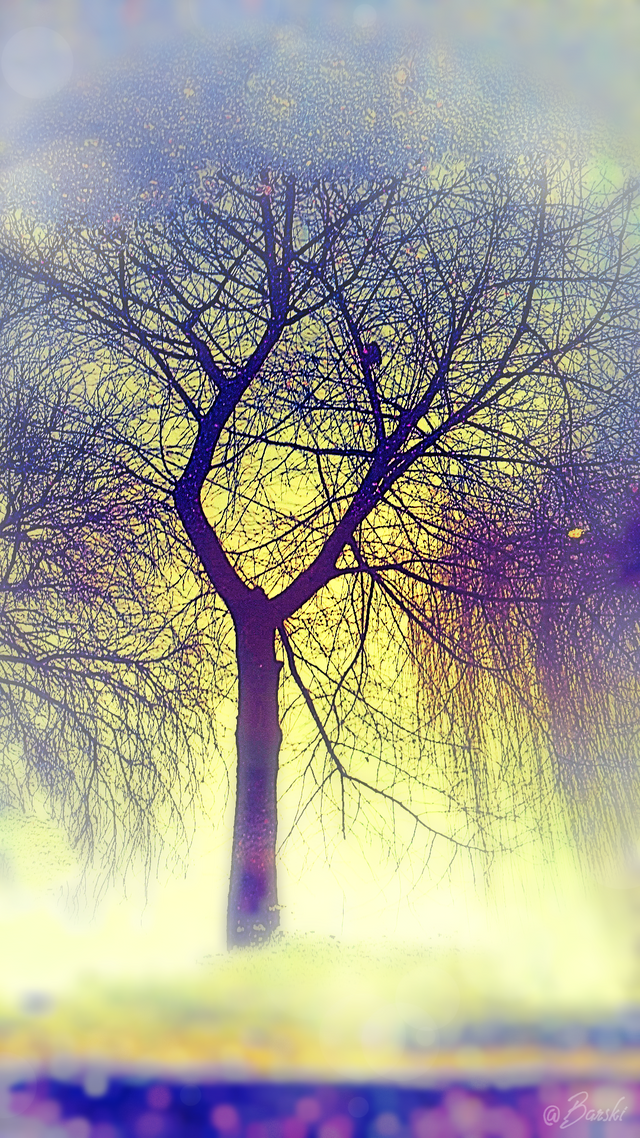 1astropPHOTO_20190314_172722.png
