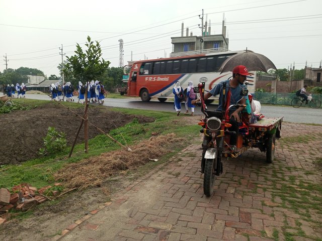 IMG_20250430_160505_137.jpg