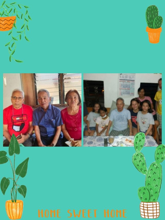 photocollage_202242662252589.jpg