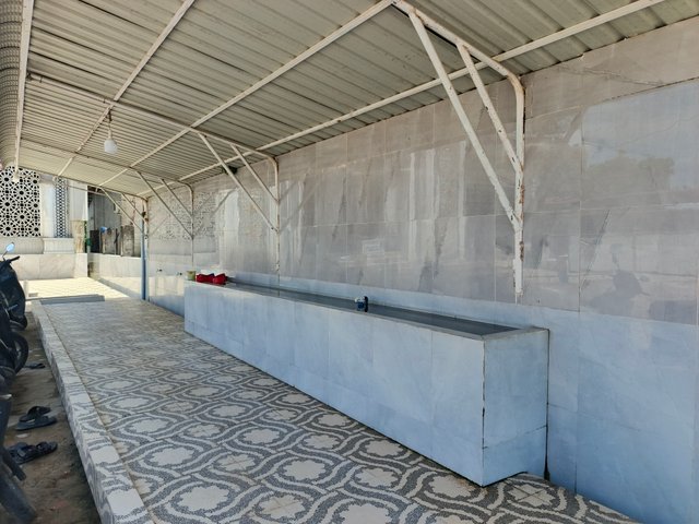 1000077446.jpg