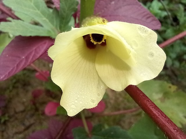 20250620_101357.jpg
