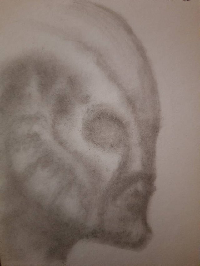 20250506_105041.jpg