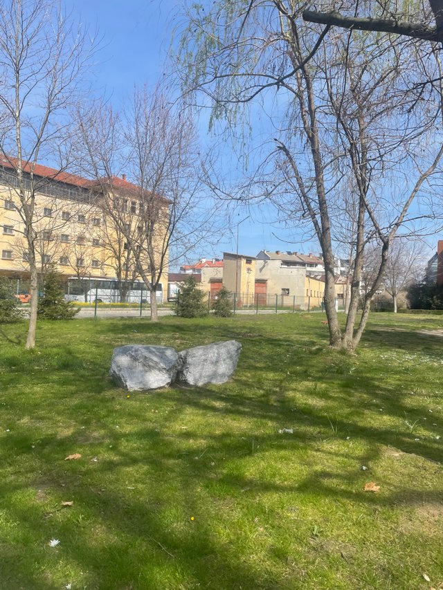 IMG_5246.jpeg
