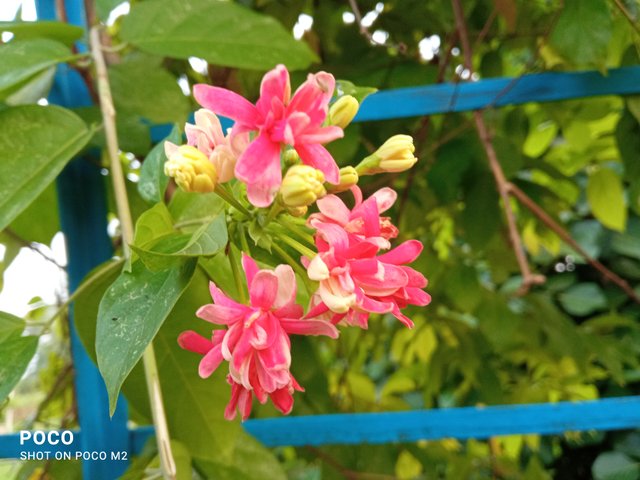 IMG_20250605_180015.jpg