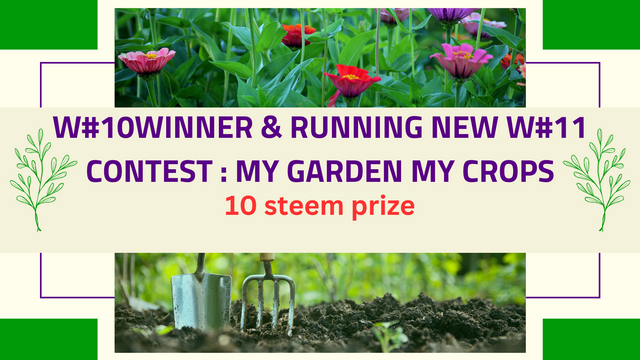 Contest my garden & ceops(1).png