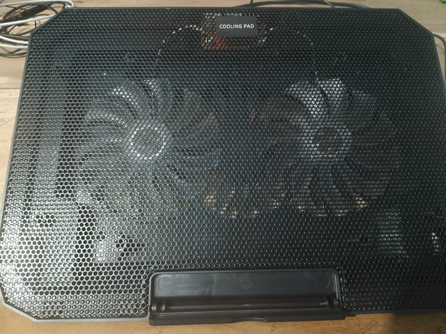 1000046573.jpg