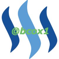 bcox1_Steemit.jpg