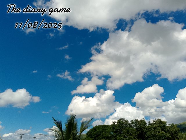 FotoGrid_20250811_203501938.jpg