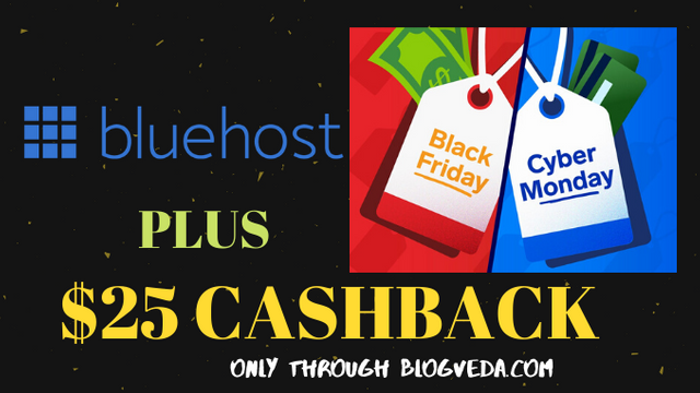 Bluehost Black friday deal.png