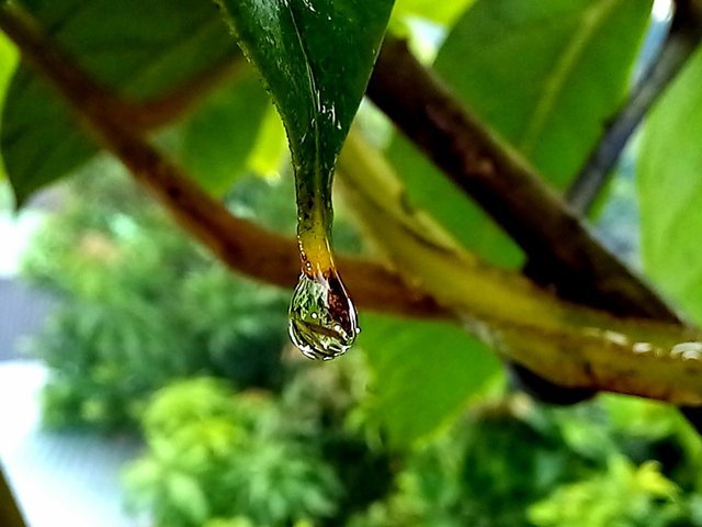 20250715_114816.jpg