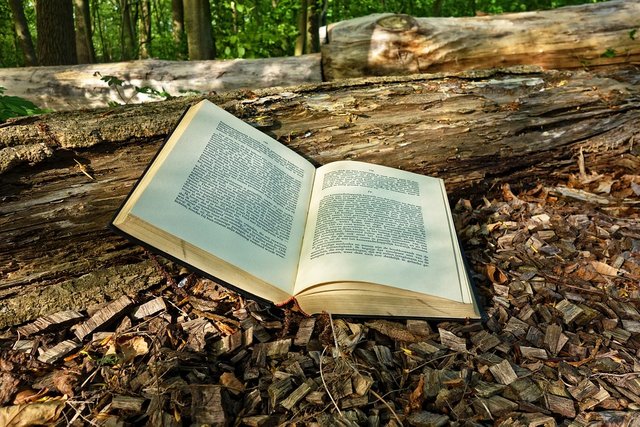 book-3356154_960_720.jpg