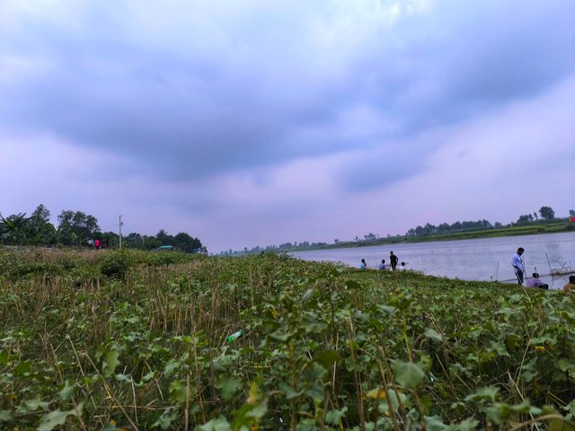 IMG_20250419_182014.jpg