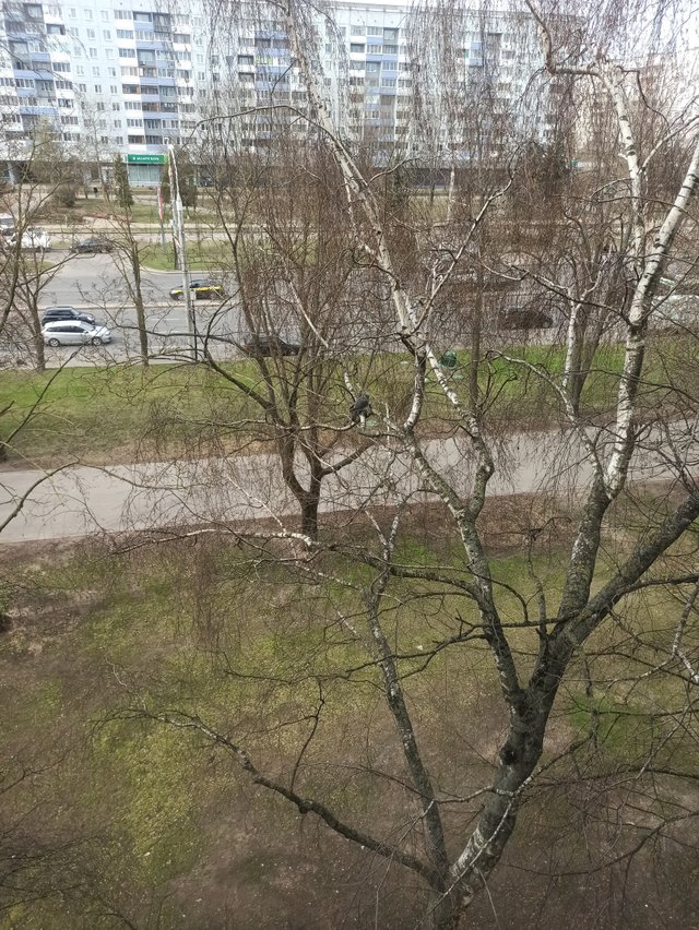 IMG_20250414_110909.jpg