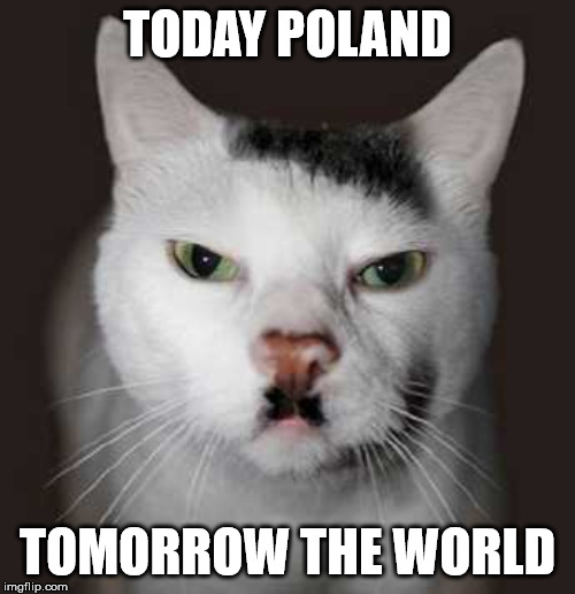 Screenshot_2019-07-23 Nazi Cat Meme Generator - Imgflip.png