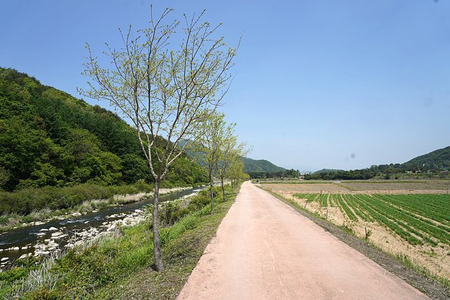 b-DSC01049.JPG