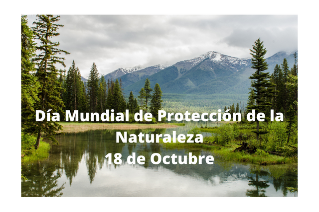 Dia Mundial de Proteccion de la Naturaleza.png