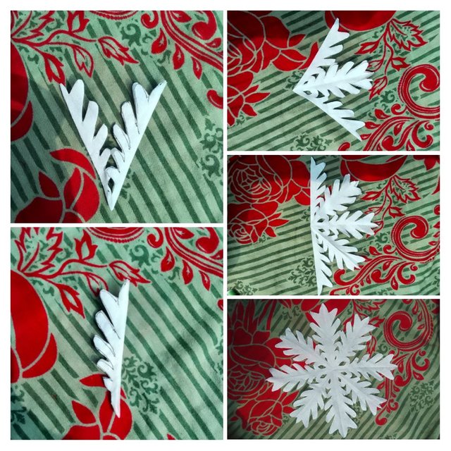 IMG_20250323_171119-COLLAGE.jpg