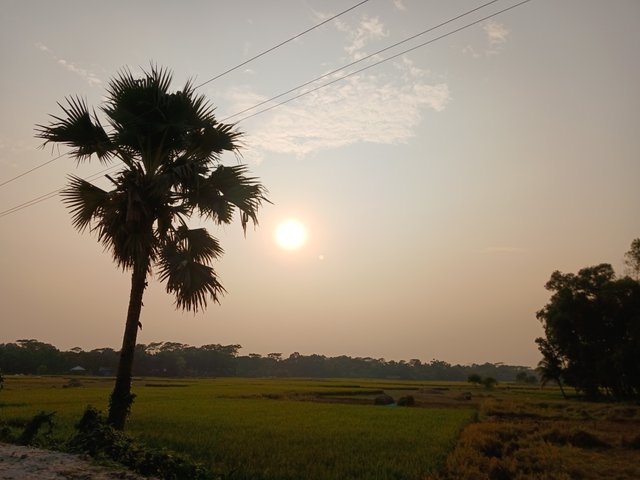 20250503_171156.jpg