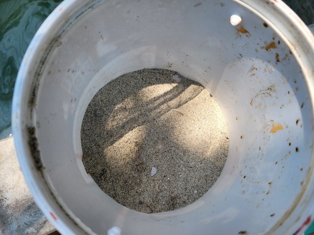 20250514_112137.jpg