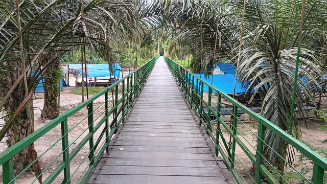 20250618_145342.jpg