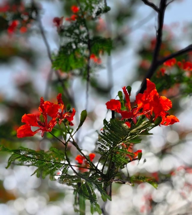 IMG_20251007_192451.jpg