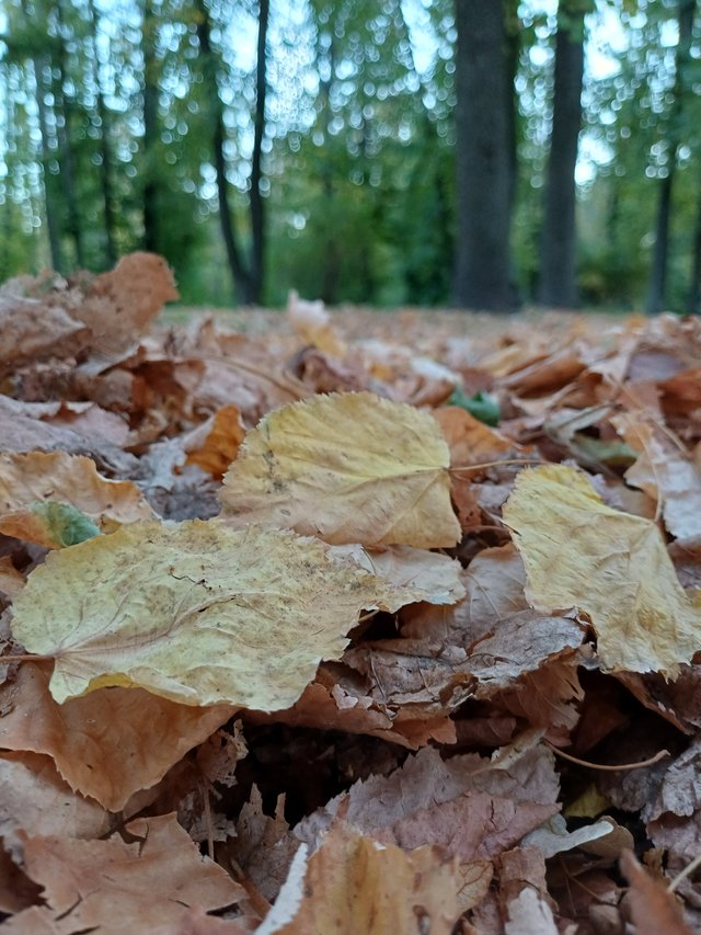 20250926_183208.jpg