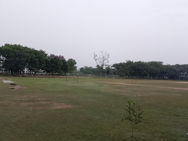 1000036868.jpg