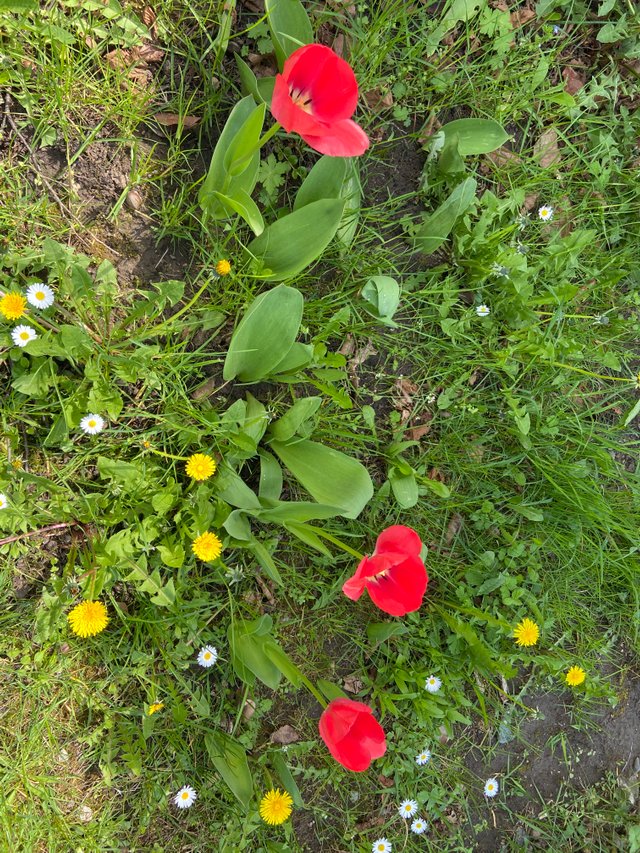 IMG7639.JPG