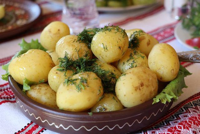 ukrainian-dill-potatoes-2652561__480.jpg