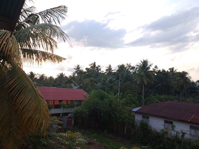 1000157317.jpg