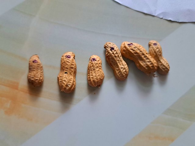 1000052093.jpg