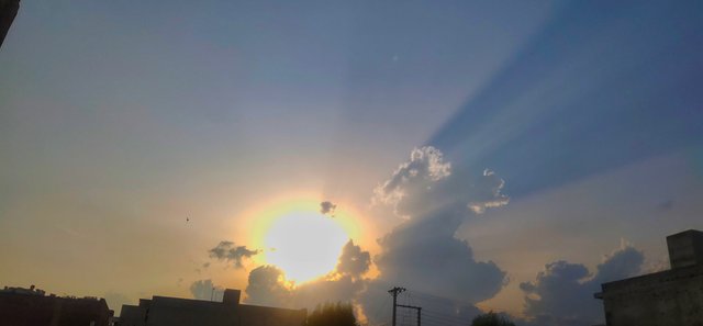 IMG_20210731_180832.jpg