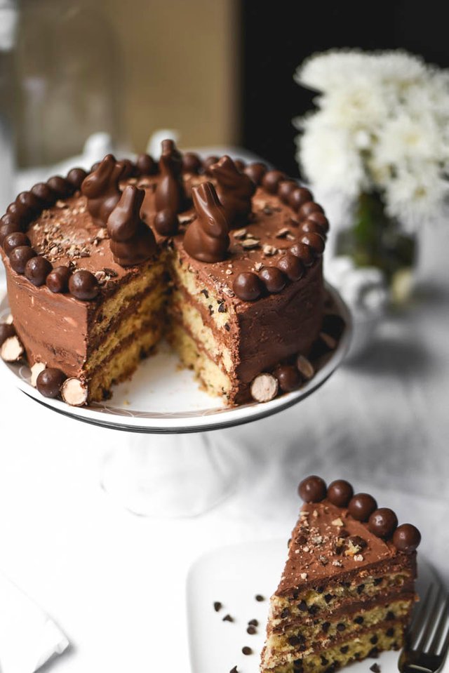 Super Moist Malted Milk Chocolate Chip Bunny Cake.jpg