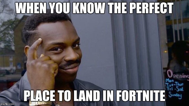 when-you-know-the-perfect-place-to-land-in-fortnite.png