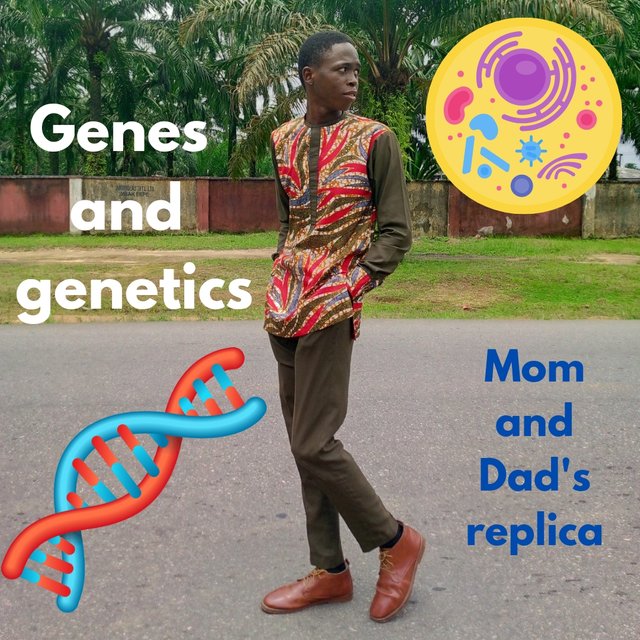 Genes and genetics_20240918_121535_0000.jpg