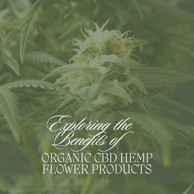 Exploring the Benefits of Organic CBD Hemp Flower Products.jpg