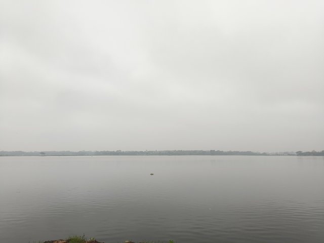 1000157643.jpg