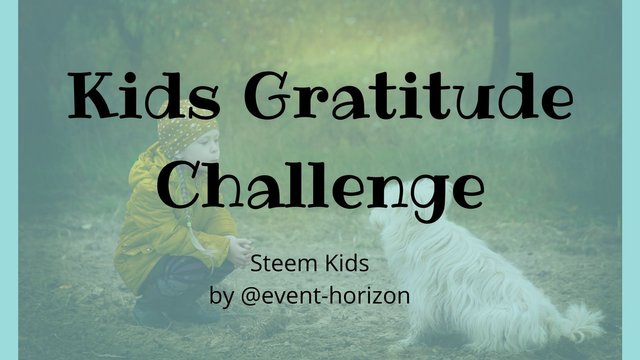 Gratitude Challenge.jpg