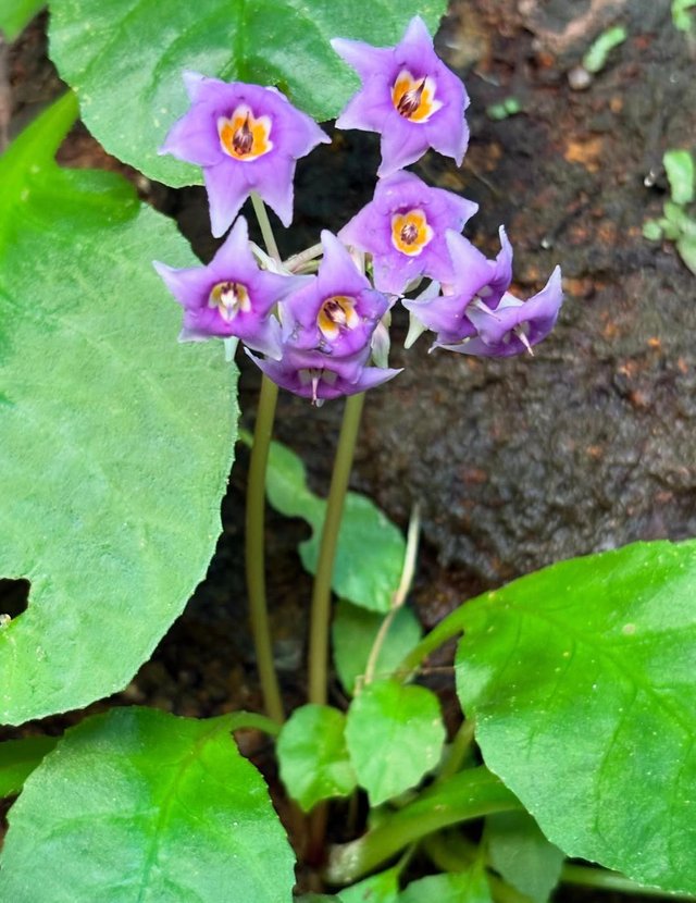 IMG_20250804_185130.jpg