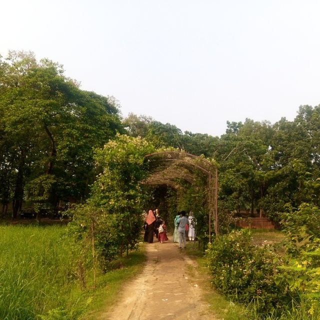 InShot_20250817_190222367.jpg