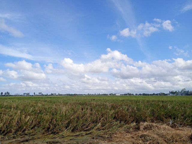 IMG20210107151242.jpg