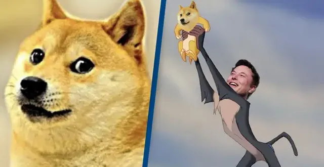 https___www.unilad.co.uk_wp-content_uploads_2021_02_elon_musk_dogecoin_1.webp