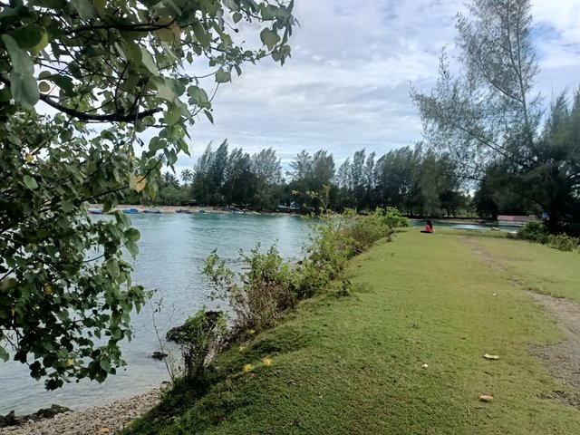IMG20250128170803.jpg
