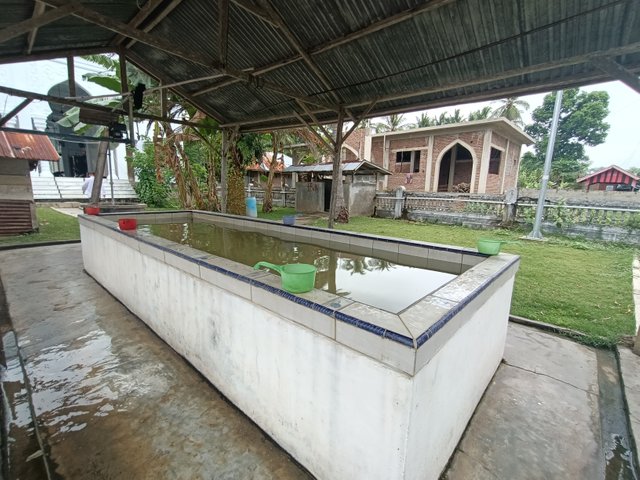 IMG20250422093629.jpg