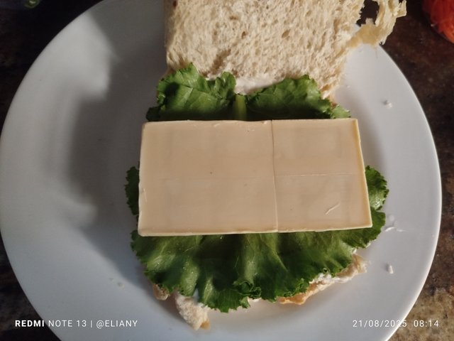 1000559020.jpg